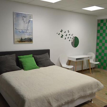Vasarely Luxury Flat Lejlighed Satu Mare Eksteriør billede